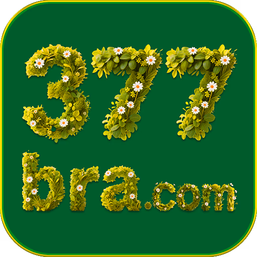 377bra Logo